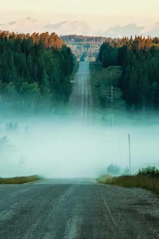 Nebel